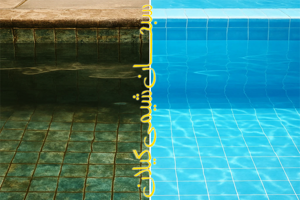 مقایسه انواع دیسکلر